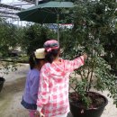 수곡농장 이미지