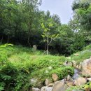 성운환경 이미지