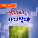 잠자리와 바지랑대 (전자책) 이미지