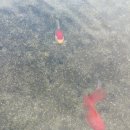 나무향기 한증막 이미지