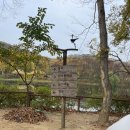 용인 한국민속촌 야간개장 데이트 하고 온 후기! 조선살인수사체험까지