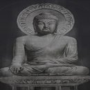 한국유기농업개발(주) 이미지