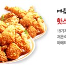 티바두마리치킨도계