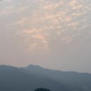 오렌지 무인텔 이미지