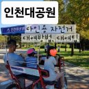 무네미 | 인천대공원 아이랑 가볼 만한 곳 다인용 자전거 렌트 정보 및 후기(대여 팁)