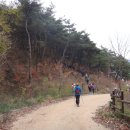 비봉산 투어로드 이미지