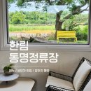 동명정류장 | 제주 한림 동명정류장 아이랑 강아지 동반 감성카페