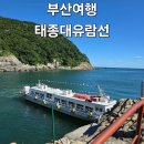 태원테크 | 부산가볼만한곳 태종대유람선 탑승후기 요금 주차장 갈매기 부산여행