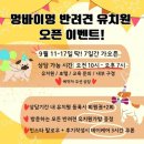 멍바이멍 반려견 유치원 이미지