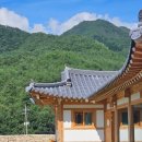 소나모나 이미지