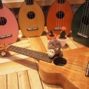 힐링 우쿨렐레 이미지