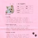 1492 | [#1492] 생강(우측 대퇴골 부정유합)의 수술후기
