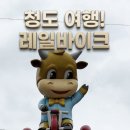 청도레일바이크 | 청도여행 꼭 해볼 만한 체험, 청도 레일바이크 솔직 후기