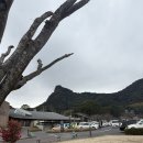 소도시 | 일본 소도시 여행 '다케오' 후기 1(붉은 누문, 시립도서관)