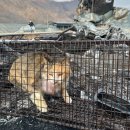 동인종합동물병원 이미지