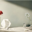 참괜찮은미용실 네이버블로그