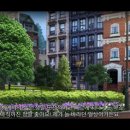 마이홈인테리어 이미지