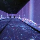 바다행정사사무소 이미지