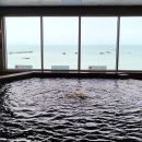 스파리조트 안단테 찜질방 이미지