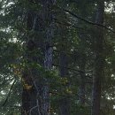 다래한방병원 이미지