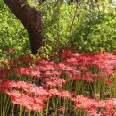 노은동로4 이미지