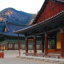 도반 이미지