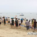 진도 뉴스1
