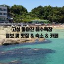 봉포할인마트낚시 | 강원도 고성 아야진 해수욕장 바다 낚시 금화정 막국수 윈덤 고성 호텔 카페 태시트