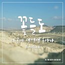 정직팜플라워