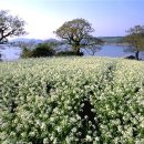 오늘도 바르개 이미지