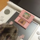 라라샹즈 이미지