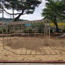 공산초교병설 이미지