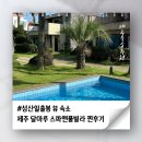 달마루스파앤풀빌라