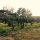 모랑모랑 민박 이미지