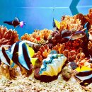 거북이가든 이미지