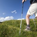 파인짐(FINE GYM) 이미지