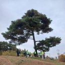 금오동 꽃동네 산치성제 | 기지위에 희망을