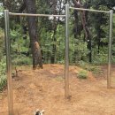 청계중앙공원 1 이미지