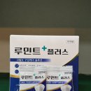 플러스여행 | 루민트 플러스 고체치약 후기｜여행 갈 때 휴대용 치약 찾는다면?