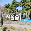 서울숲 숲속놀이터 화장실 이미지