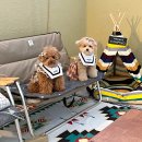 udogpia 유독피아 이미지