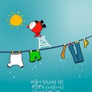 햇볕 이미지