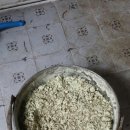 효산농장 이미지