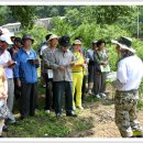 양산신-2011 이미지