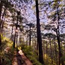 바기오네 | [필리핀 여행 시리즈 - 1] 여러 번 방문해보고 추천하는 바기오(Baguio) 관광지 솔직 후기