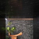 나무와 돌 이미지