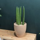 정화한의원 이미지