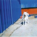 방배1동010 이미지