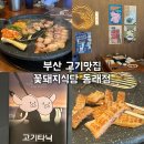 꿈에본꽃돼지 | [음식점] 부산회식 장소 추천 - 직원이 구워주는 꽃돼지식당 동래점! 넓은 매장, 맛있는 고기🤤✨