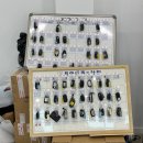 제주도 레인보우 | 제주도 제주공항 근처 가성비 좋은 전기차 렌터카 : 레인보우 모빌리티